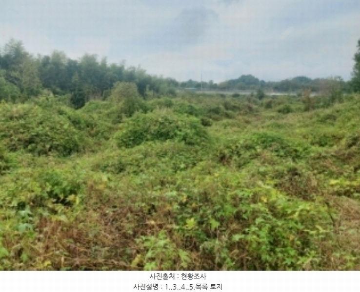 2024타경58768 충청남도 당진시 송악읍 영천리 162 농지 경매 이미지