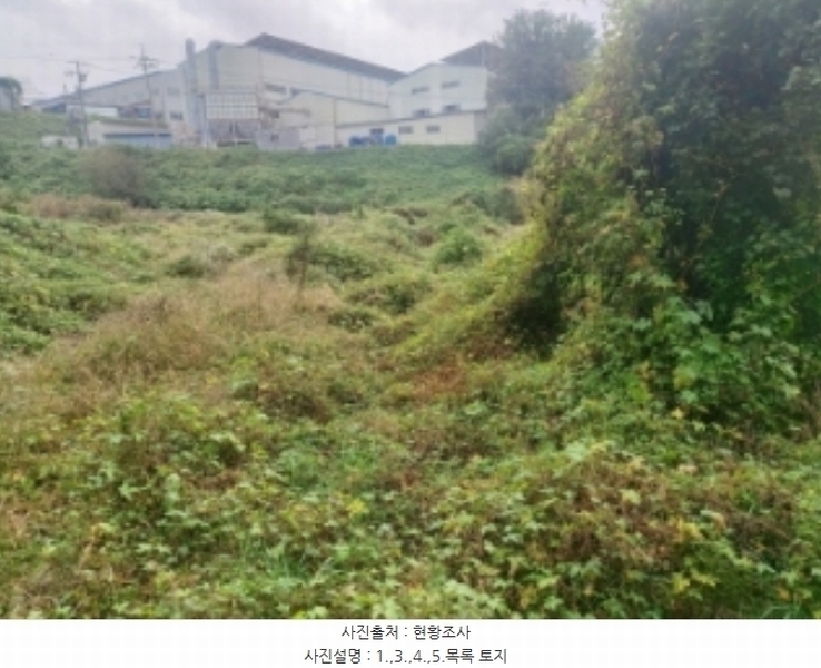 2024타경58768 충청남도 당진시 송악읍 영천리 162 농지 경매 이미지