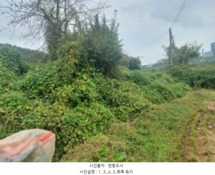 2024타경58768 충청남도 당진시 송악읍 영천리 162 농지 경매 이미지