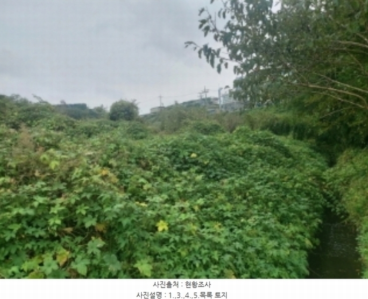 2024타경58768 충청남도 당진시 송악읍 영천리 162 농지 경매 이미지