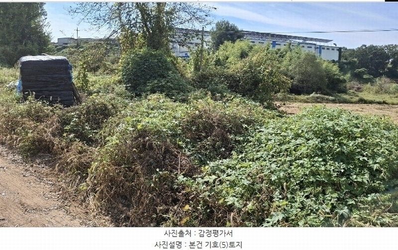 2024타경58768 충청남도 당진시 송악읍 영천리 162 농지 경매 이미지