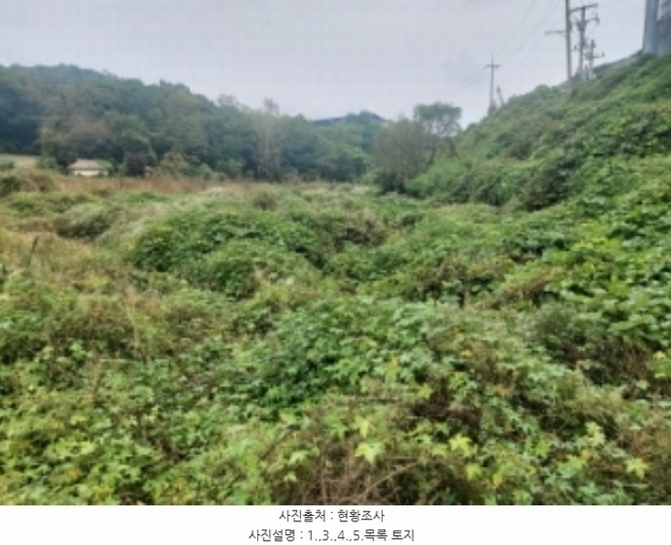 2024타경58768 충청남도 당진시 송악읍 영천리 162 농지 경매 이미지