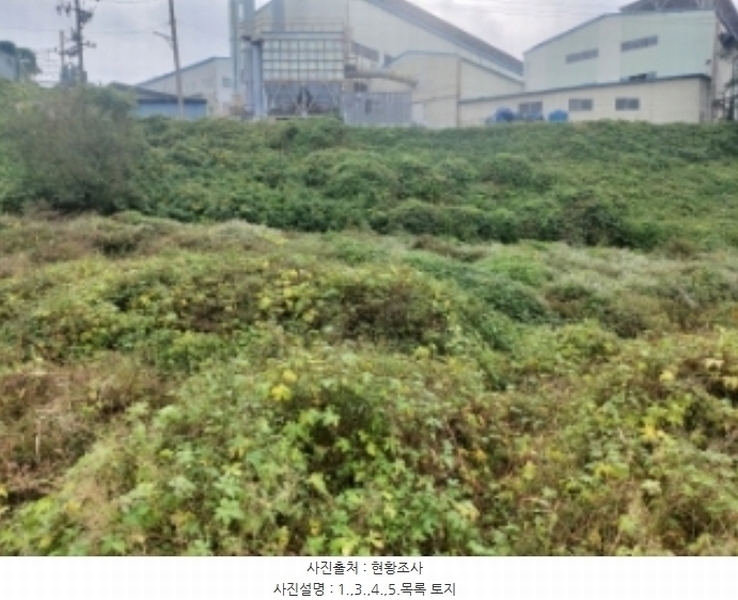 2024타경58768 충청남도 당진시 송악읍 영천리 162 농지 경매 이미지