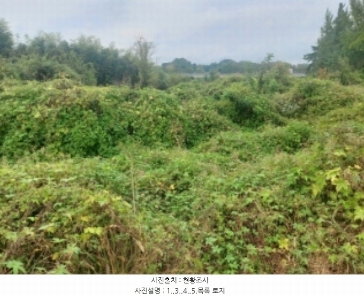2024타경58768 충청남도 당진시 송악읍 영천리 162 농지 경매 이미지
