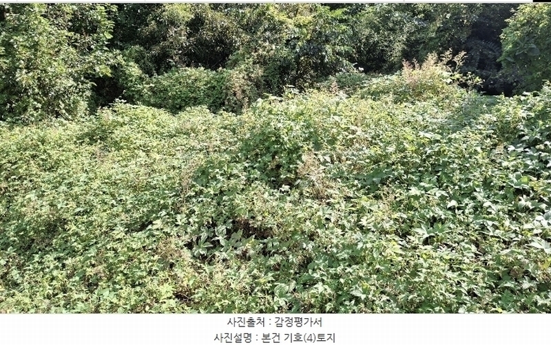 2024타경58768 충청남도 당진시 송악읍 영천리 162 농지 경매 이미지