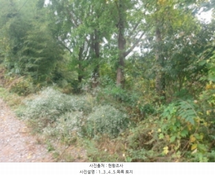 2024타경58768 충청남도 당진시 송악읍 영천리 162 농지 경매 이미지
