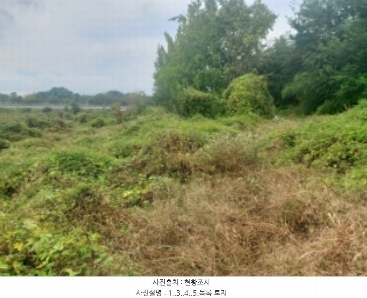 2024타경58768 충청남도 당진시 송악읍 영천리 162 농지 경매 이미지