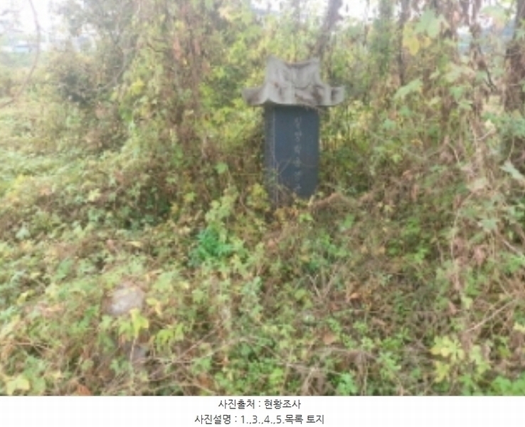 2024타경58768 충청남도 당진시 송악읍 영천리 162 농지 경매 이미지
