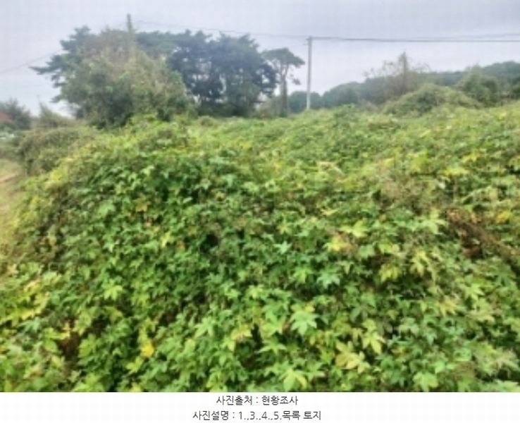 2024타경58768 충청남도 당진시 송악읍 영천리 162 농지 경매 이미지