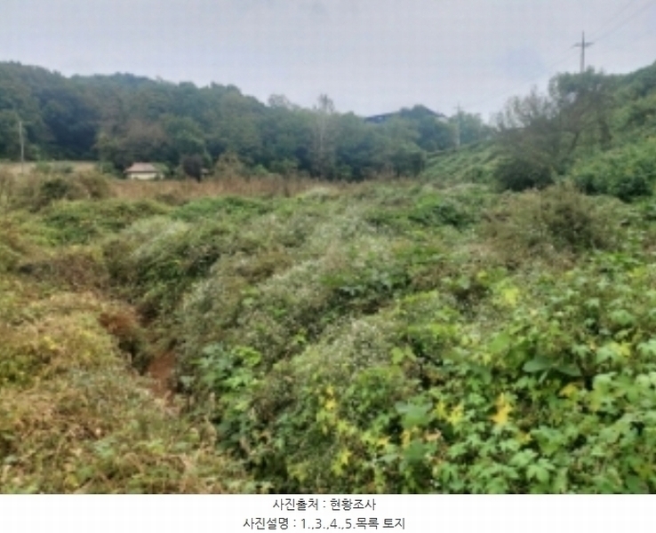2024타경58768 충청남도 당진시 송악읍 영천리 162 농지 경매 이미지