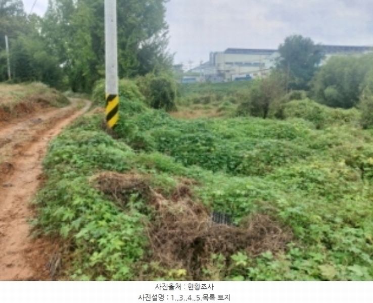 2024타경58768 충청남도 당진시 송악읍 영천리 162 농지 경매 이미지