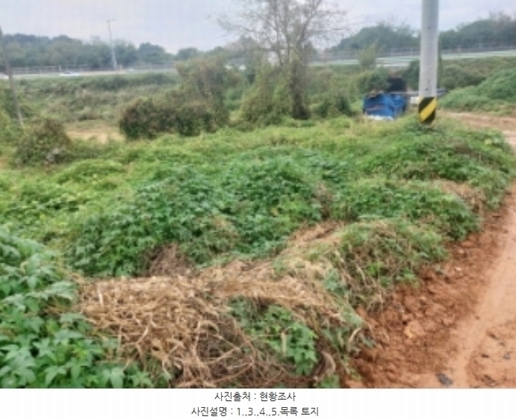 2024타경58768 충청남도 당진시 송악읍 영천리 162 농지 경매 이미지