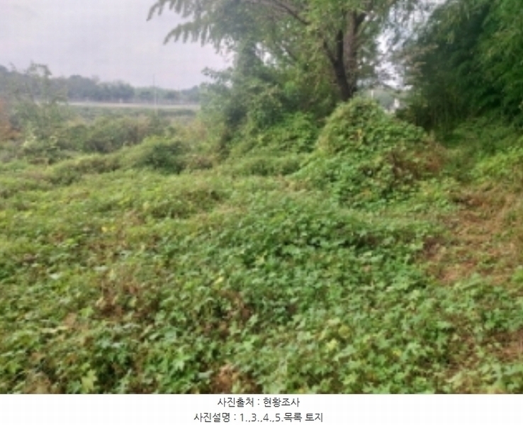 2024타경58768 충청남도 당진시 송악읍 영천리 162 농지 경매 이미지