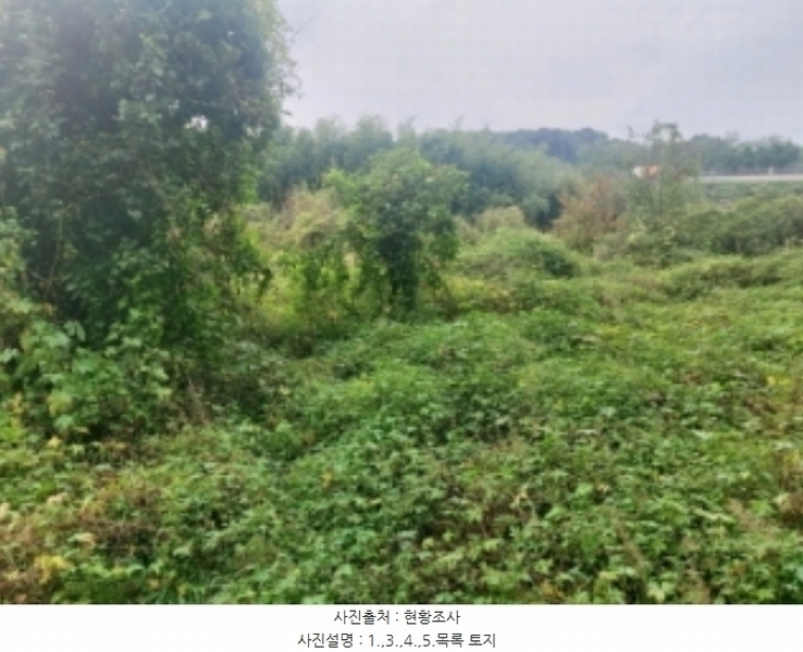 2024타경58768 충청남도 당진시 송악읍 영천리 162 농지 경매 이미지