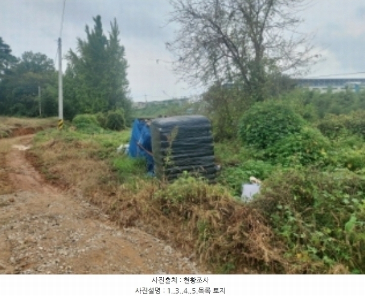 2024타경58768 충청남도 당진시 송악읍 영천리 162 농지 경매 이미지