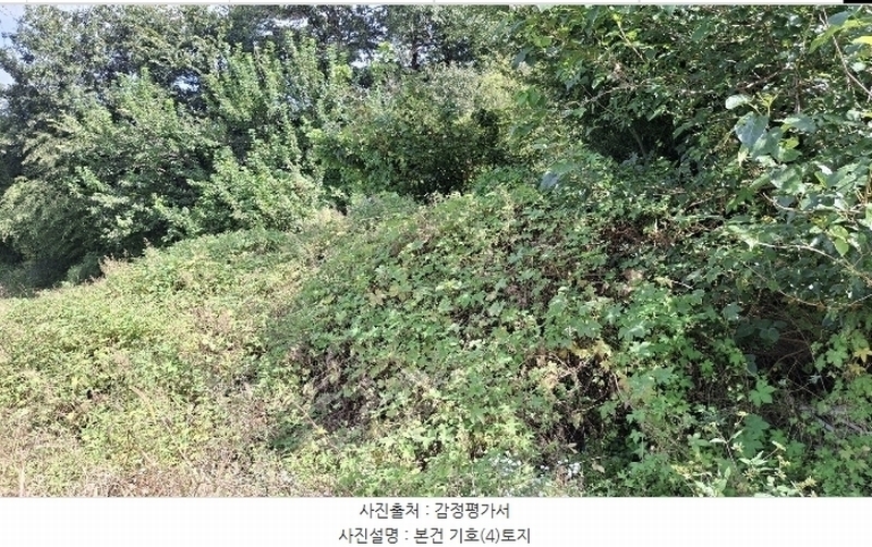 2024타경58768 충청남도 당진시 송악읍 영천리 162 농지 경매 이미지