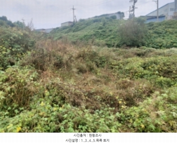 2024타경58768 충청남도 당진시 송악읍 영천리 162 농지 경매 이미지