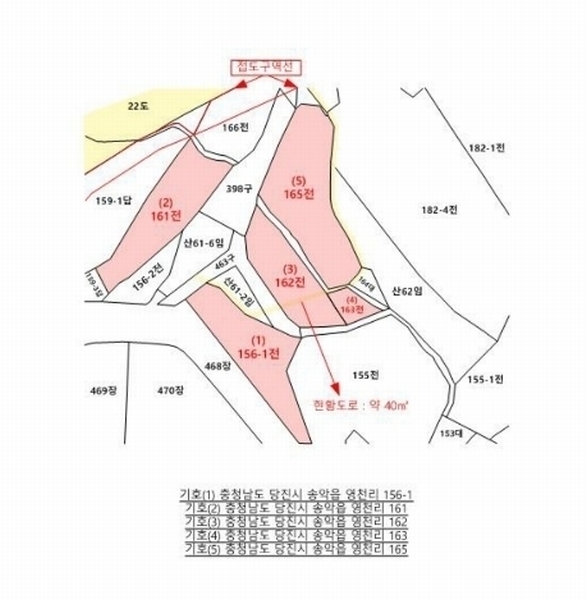 2024타경58768 충청남도 당진시 송악읍 영천리 162 농지 경매 이미지