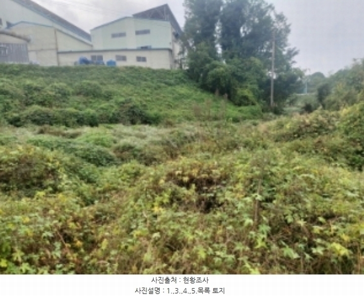 2024타경58768 충청남도 당진시 송악읍 영천리 162 농지 경매 이미지