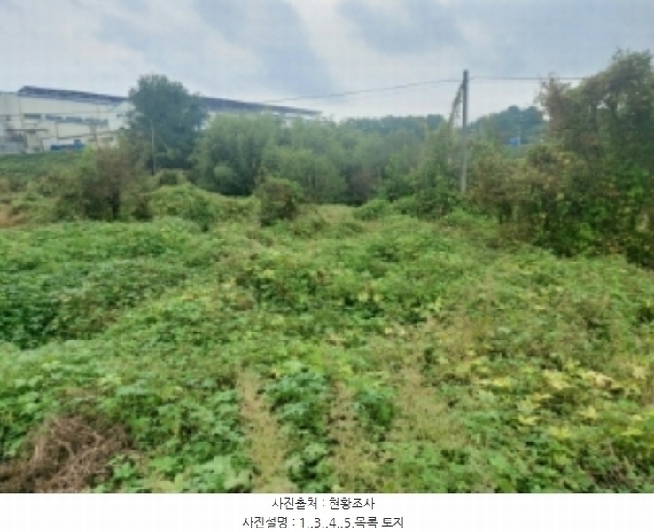 2024타경58768 충청남도 당진시 송악읍 영천리 162 농지 경매 이미지