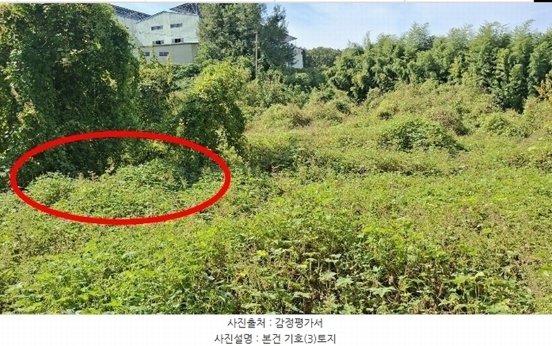 2024타경58768 충청남도 당진시 송악읍 영천리 162 농지 경매 이미지