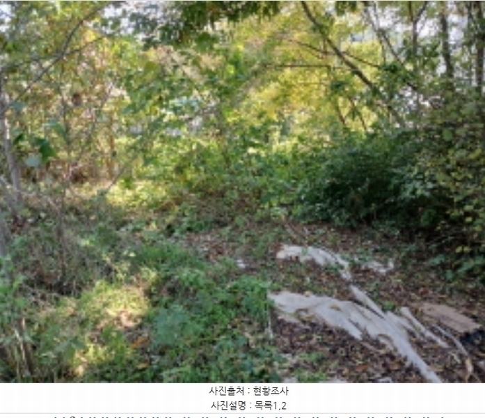 2024타경59372 충청남도 당진시 석문면 통정리 348-9 임야 경매 이미지