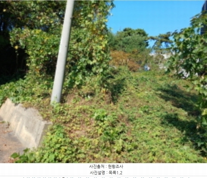 2024타경59372 충청남도 당진시 석문면 통정리 348-9 임야 경매 이미지