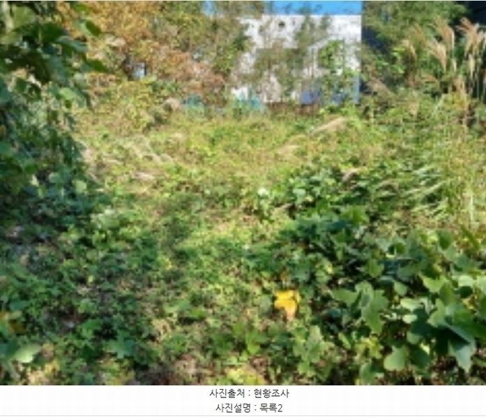 2024타경59372 충청남도 당진시 석문면 통정리 348-9 임야 경매 이미지