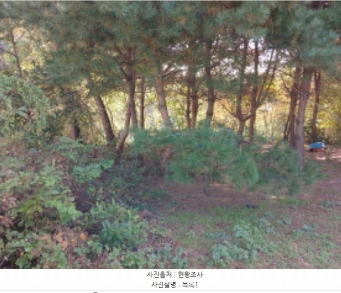 2024타경59372 충청남도 당진시 석문면 통정리 348-9 임야 경매 이미지