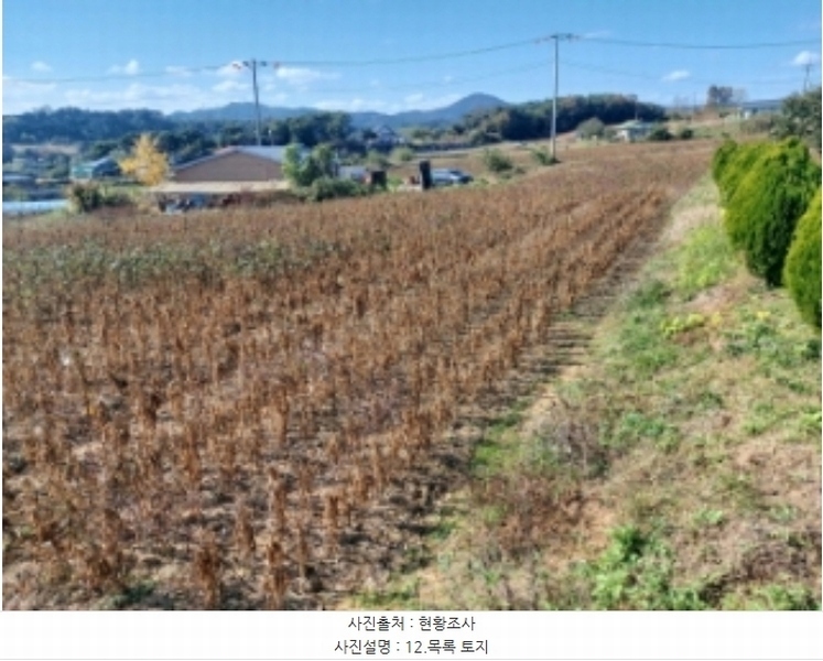 2024타경59860 충청남도 당진시 순성면 봉소리 23-1 임야 경매 이미지