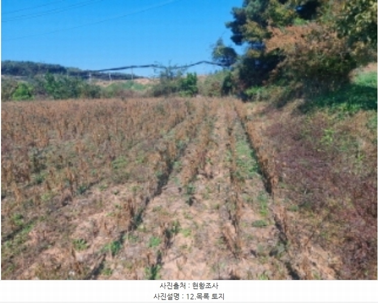 2024타경59860 충청남도 당진시 순성면 봉소리 23-1 임야 경매 이미지