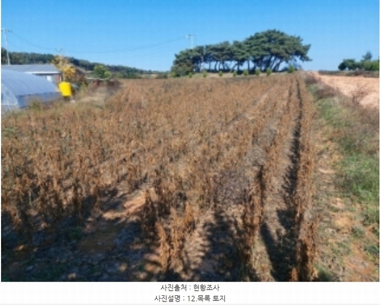 2024타경59860 충청남도 당진시 순성면 봉소리 23-1 임야 경매 이미지