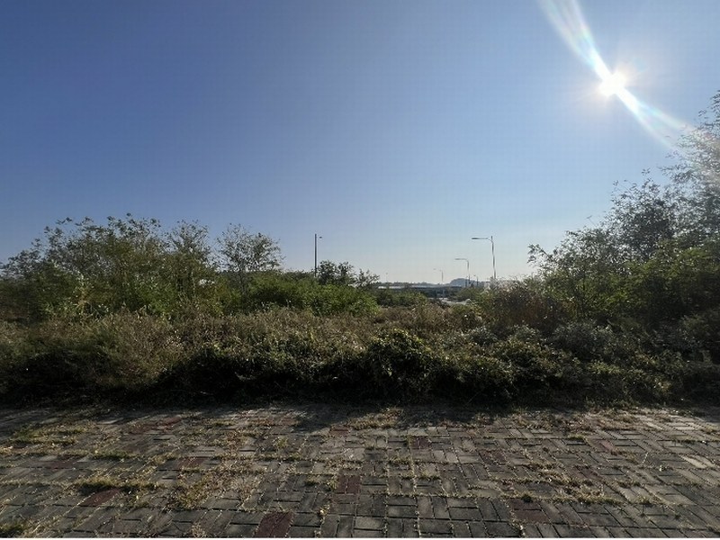 2024타경59914 충청남도 당진시 석문면 삼봉리 2218 대지 경매 이미지