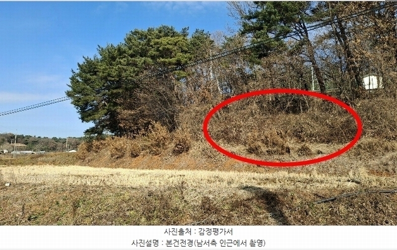 2024타경61115 충청남도 당진시 고대면 장항리 739-10 임야 경매 이미지