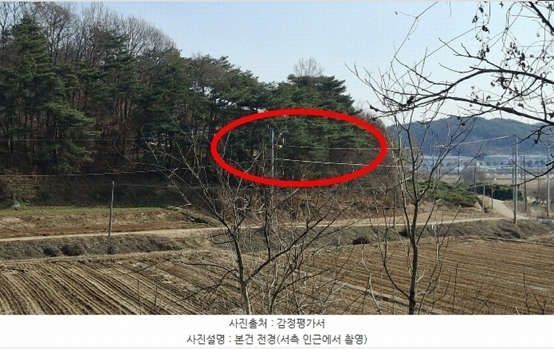 2024타경61115 충청남도 당진시 고대면 장항리 739-10 임야 경매 이미지