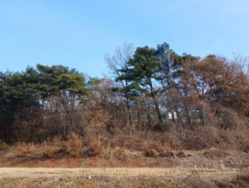 2024타경61115 충청남도 당진시 고대면 장항리 739-10 임야 경매 이미지