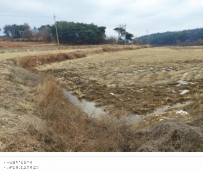 2024타경61214 충청남도 당진시 신평면 초대리 632-5 농지 경매 이미지