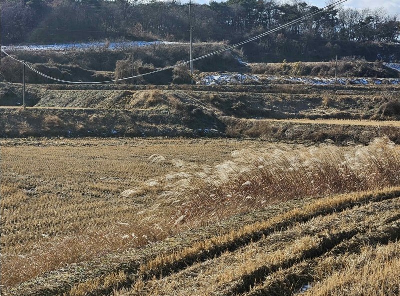 2024타경61214 충청남도 당진시 신평면 초대리 632-5 농지 경매 이미지