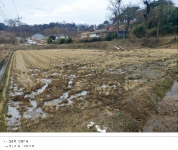 2024타경61214 충청남도 당진시 신평면 초대리 632-5 농지 경매 이미지