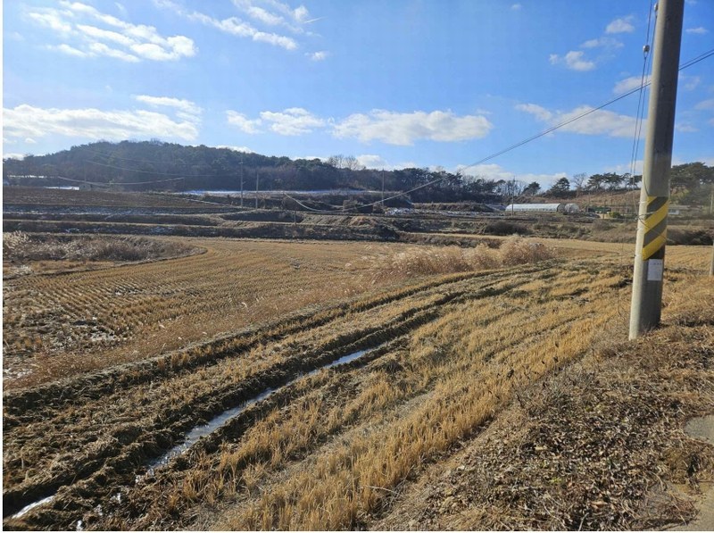2024타경61214 충청남도 당진시 신평면 초대리 632-5 농지 경매 이미지
