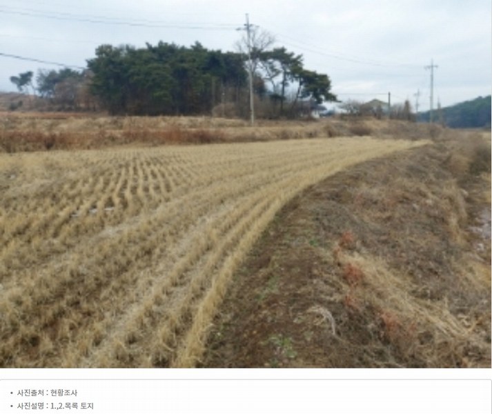 2024타경61214 충청남도 당진시 신평면 초대리 632-5 농지 경매 이미지