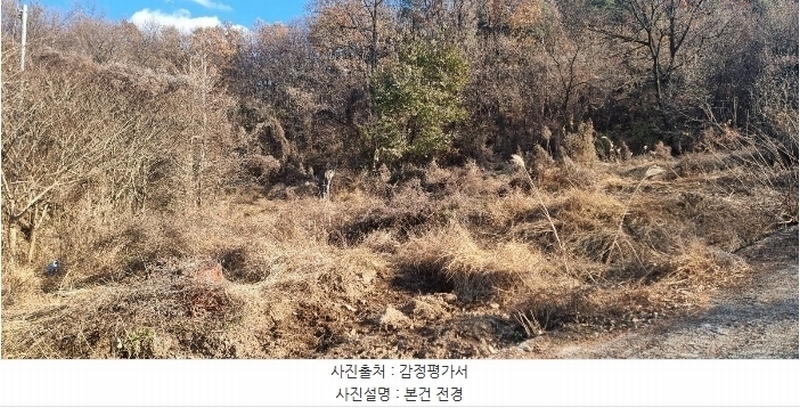2024타경5056 대구광역시 달성군 유가읍 음리 165 농지 경매 이미지