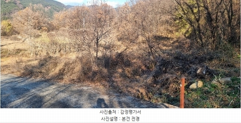 2024타경5056 대구광역시 달성군 유가읍 음리 165 농지 경매 이미지