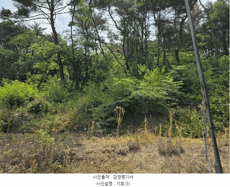 2025타경377 경상북도 포항시 남구 연일읍 학전리 산157-4 임야 경매 이미지
