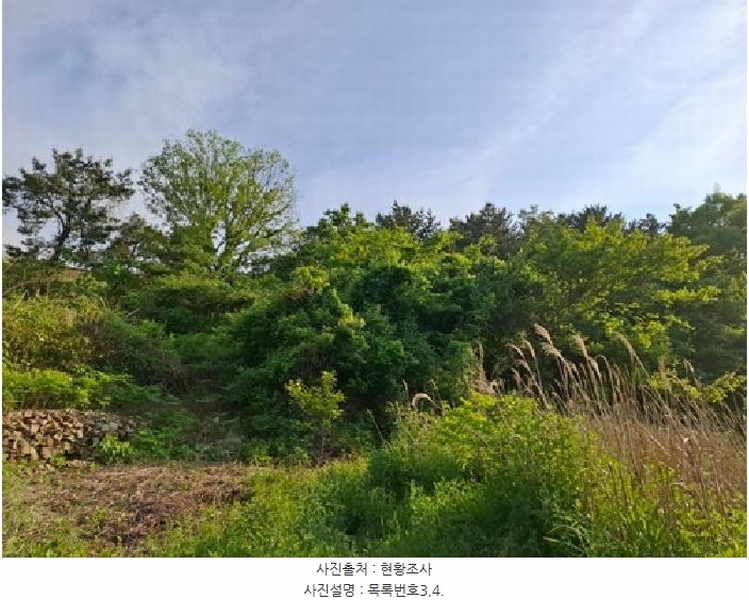 2025타경687 경상남도 남해군 남면 상가리 818 농지 경매 이미지