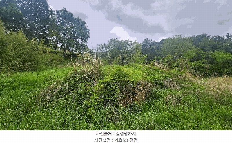 2025타경687 경상남도 남해군 남면 상가리 818 농지 경매 이미지