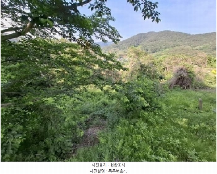 2025타경687 경상남도 남해군 남면 상가리 818 농지 경매 이미지