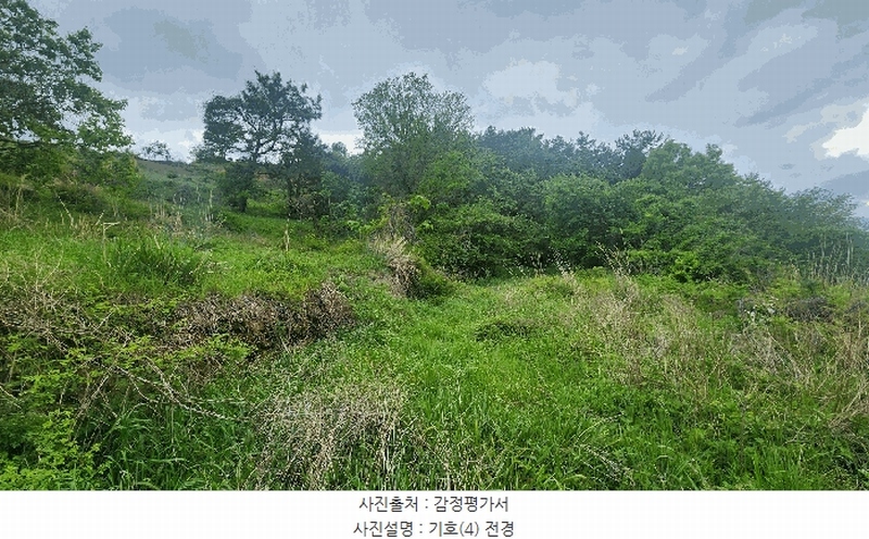 2025타경687 경상남도 남해군 남면 상가리 818 농지 경매 이미지