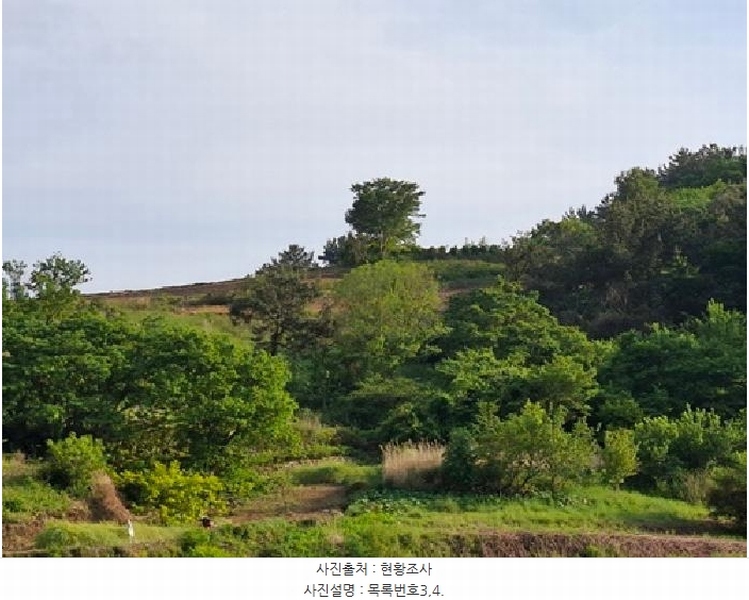 2025타경687 경상남도 남해군 남면 상가리 818 농지 경매 이미지