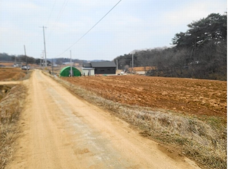 2025타경50181 충청남도 당진시 송악읍 영천리 286 농지 경매 이미지